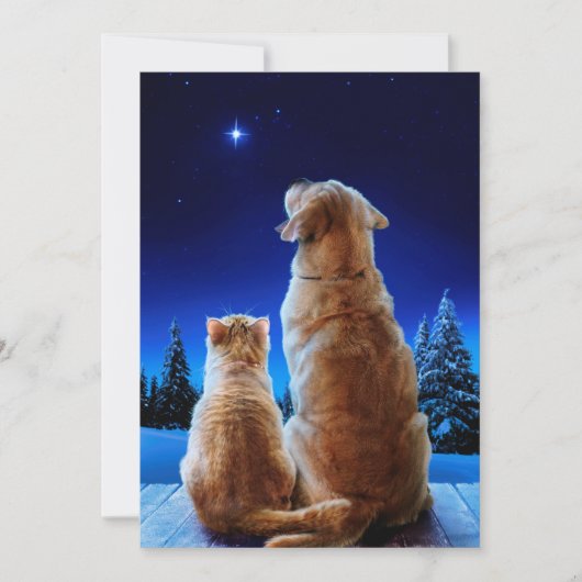 Katten- en hondenkerstmiswonder kaart (Voorkant)