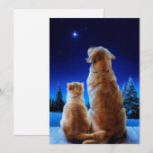 Katten- en hondenkerstmiswonder kaart (Voorkant / Achterkant)