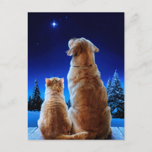 Katten- en hondenkerstmiswonder uitnodiging briefkaart