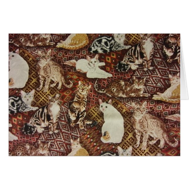 Katten en Katten (Voorkant Horizontaal)