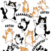 Katten en KATTEN!! T-shirt