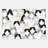 Katten en Katten Verpakkingsdocument Bladen Inpakpapier Vel (Voorkant 3)