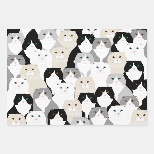 Katten en Katten Verpakkingsdocument Bladen Inpakpapier Vel (Voorkant 3)