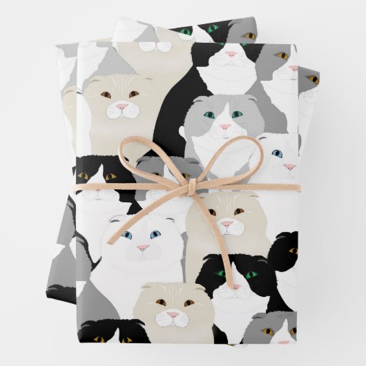 Katten en Katten Verpakkingsdocument Bladen Inpakpapier Vel (In situ)