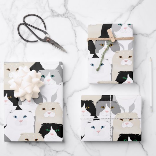 Katten en Katten Verpakkingsdocument Bladen Inpakpapier Vel (Voorkant)