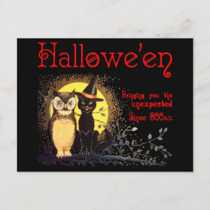 Katten en kippen bij  Halloween-Briefkaart Briefkaart