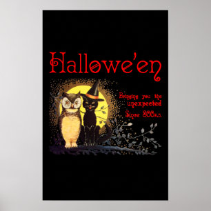 Katten en kippen in het  Poster van Halloween