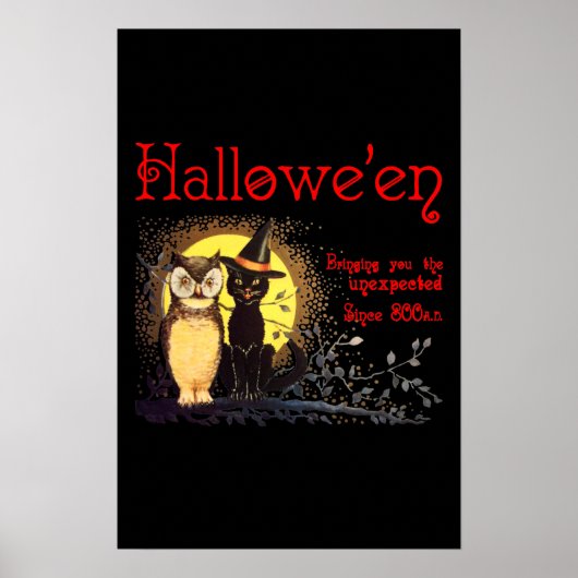 Katten en kippen in het Poster van Halloween (Voorkant)