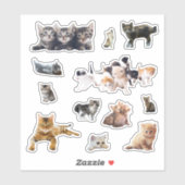 Katten en kittens foto's instellen contour sticker (Vel)