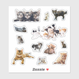Katten en kittens foto's instellen contour sticker