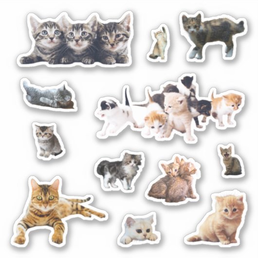 Katten en kittens foto's instellen contour sticker (Voorkant)
