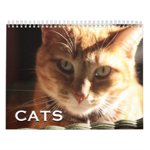 Katten en Kittens Kalender