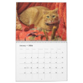Katten en Kittens Kalender (Jan 2026)