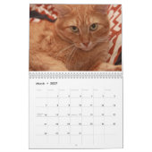 Katten en Kittens Kalender (Mar 2027)