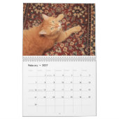 Katten en Kittens Kalender (Feb 2027)
