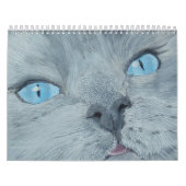Katten en Kittens Kalender (Hoes)