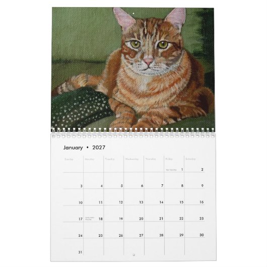 Katten en Kittens Kalender (Jan 2027)