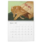 Katten en Kittens Kalender (Feb 2027)