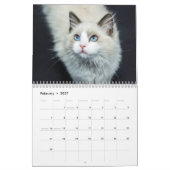 Katten en Kittens Pet Fotokalender Kalender (Feb 2027)