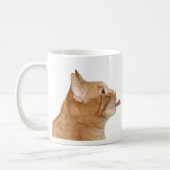 Katten en koffie koffiemok (Links)