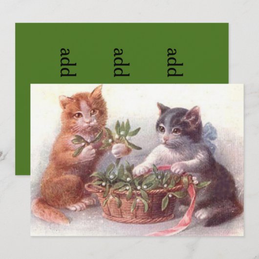 Katten en mistletoe (Voorkant / Achterkant)