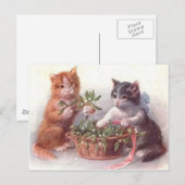 Katten en mistletoe briefkaart (Voorkant / Achterkant)