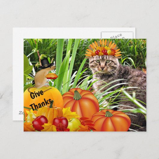Katten en Muizen Thanksgiving / Dank Collage Briefkaart (Voorkant / Achterkant)