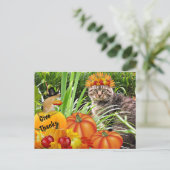 Katten- en muizendanorama voor Thanksgiving / Geef Briefkaart (Staand voorkant)
