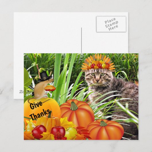 Katten- en muizendanorama voor Thanksgiving / Geef Briefkaart (Voorkant / Achterkant)