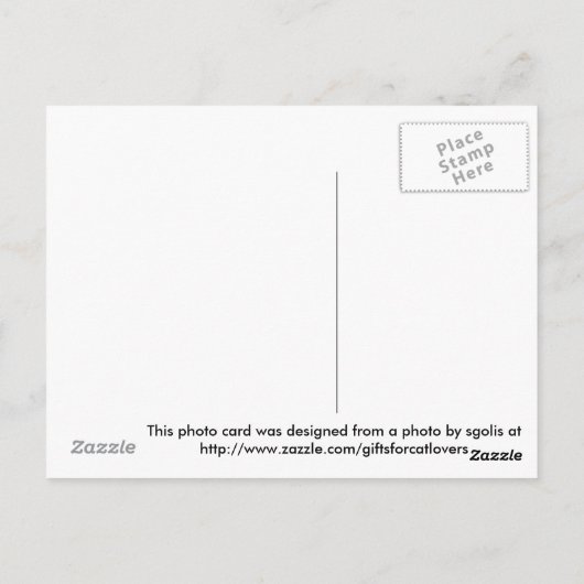 Katten- en muizendanorama voor Thanksgiving / Geef Briefkaart (Achterkant)