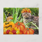 Katten- en muizendanorama voor Thanksgiving / Geef Briefkaart (Voorkant)