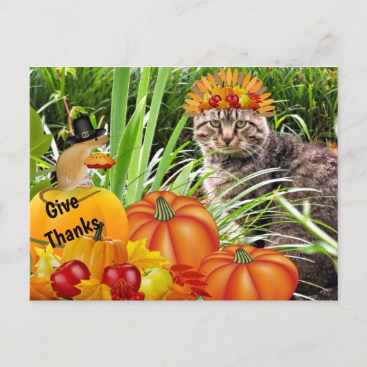 Katten- en muizendanorama voor Thanksgiving / Geef Briefkaart (Voorkant)