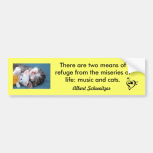 Katten en muziek bumpersticker