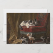Katten en schilderijen kaart (Achterkant)