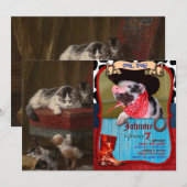 Katten en schilderijen kaart (Voorkant / Achterkant)