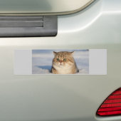 katten_en_sneeuw7 bumpersticker (Op auto)