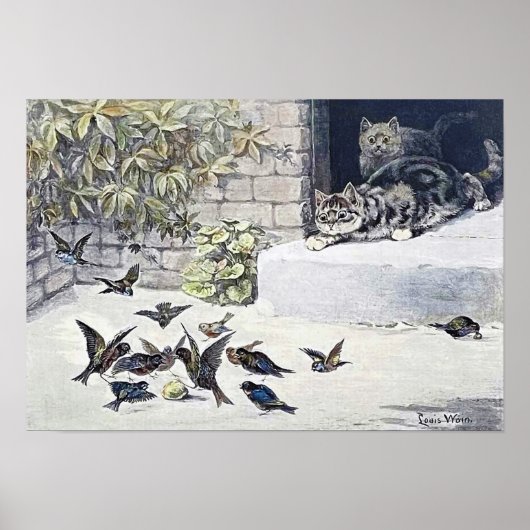 Katten en Tuinvogels Poster (Voorkant)
