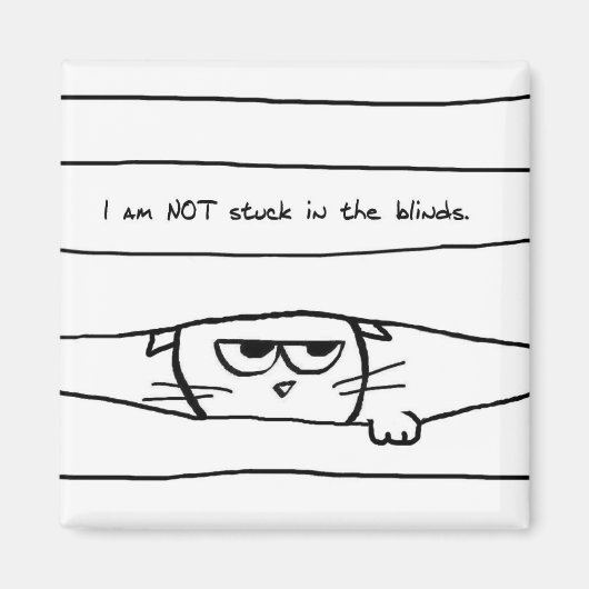 Katten en vensterluiken - Funny Cat Magnet (Voorkant)