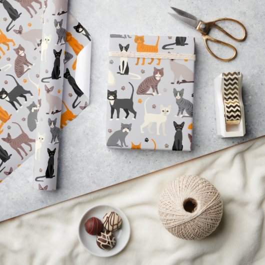 Katten en verfdrukken cadeaupapier (Crafts)