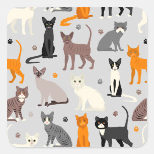 Katten en verfdrukken vierkante sticker