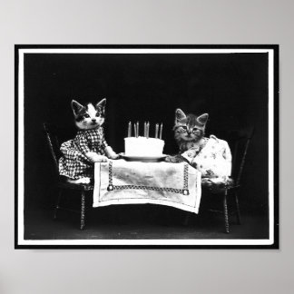 Katten en verjaardagstaart Antiek foto Poster