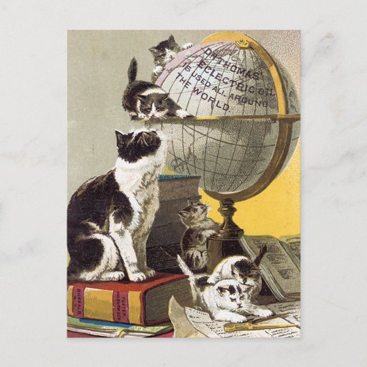 Katten en Wereldbol Briefkaart (Voorkant)