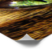 Katten Eyes Poster (Hoek)