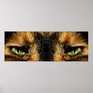 Katten Eyes Poster