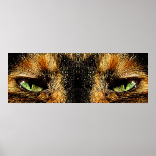 Katten Eyes Poster (Voorkant)