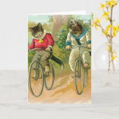 Katten fietsen kaart (Gele Bloem)