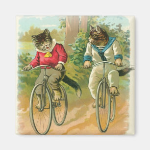 Katten fietsen magneet