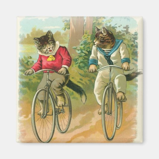 Katten fietsen magneet (Voorkant)