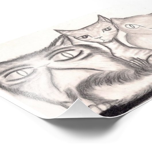 Katten Foto Afdruk (Hoek)