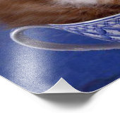 katten foto afdruk (Hoek)